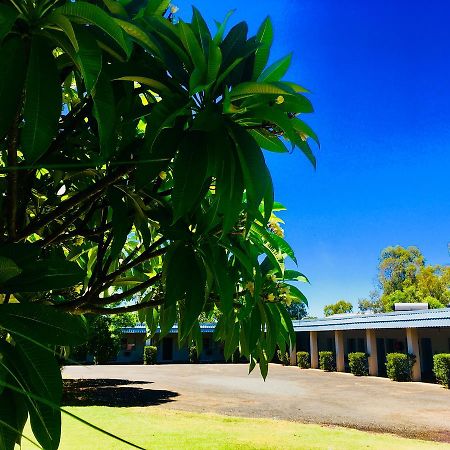 Balonne River Motor Inn Saint George Luaran gambar