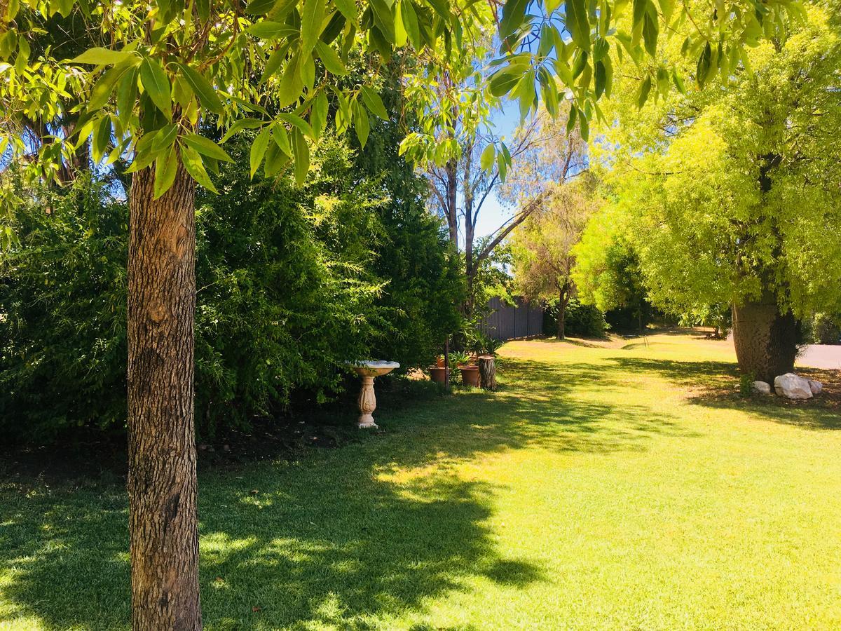 Balonne River Motor Inn Saint George Luaran gambar